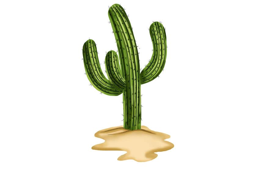 realistischer Kaktus