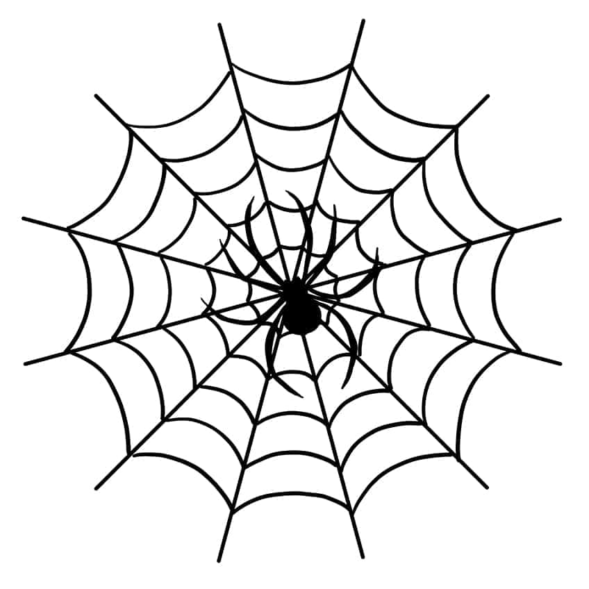 Realistische Spinnennetz Zeichnung 07