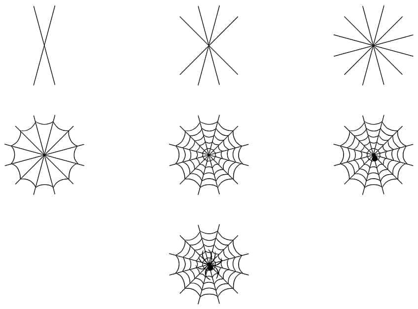 Spinnennetz Zeichnung Collage