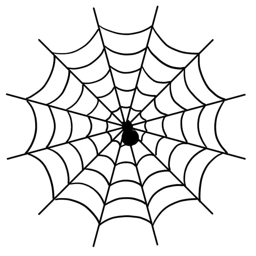 Spider Web Outline 06
