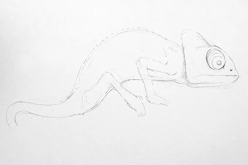 chameleon drawing 05