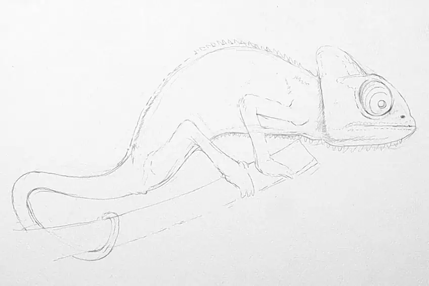 chameleon drawing 08