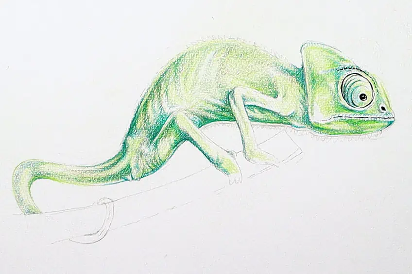 chameleon drawing 24