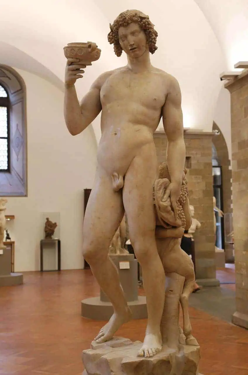 Was hat Michelangelo studiert