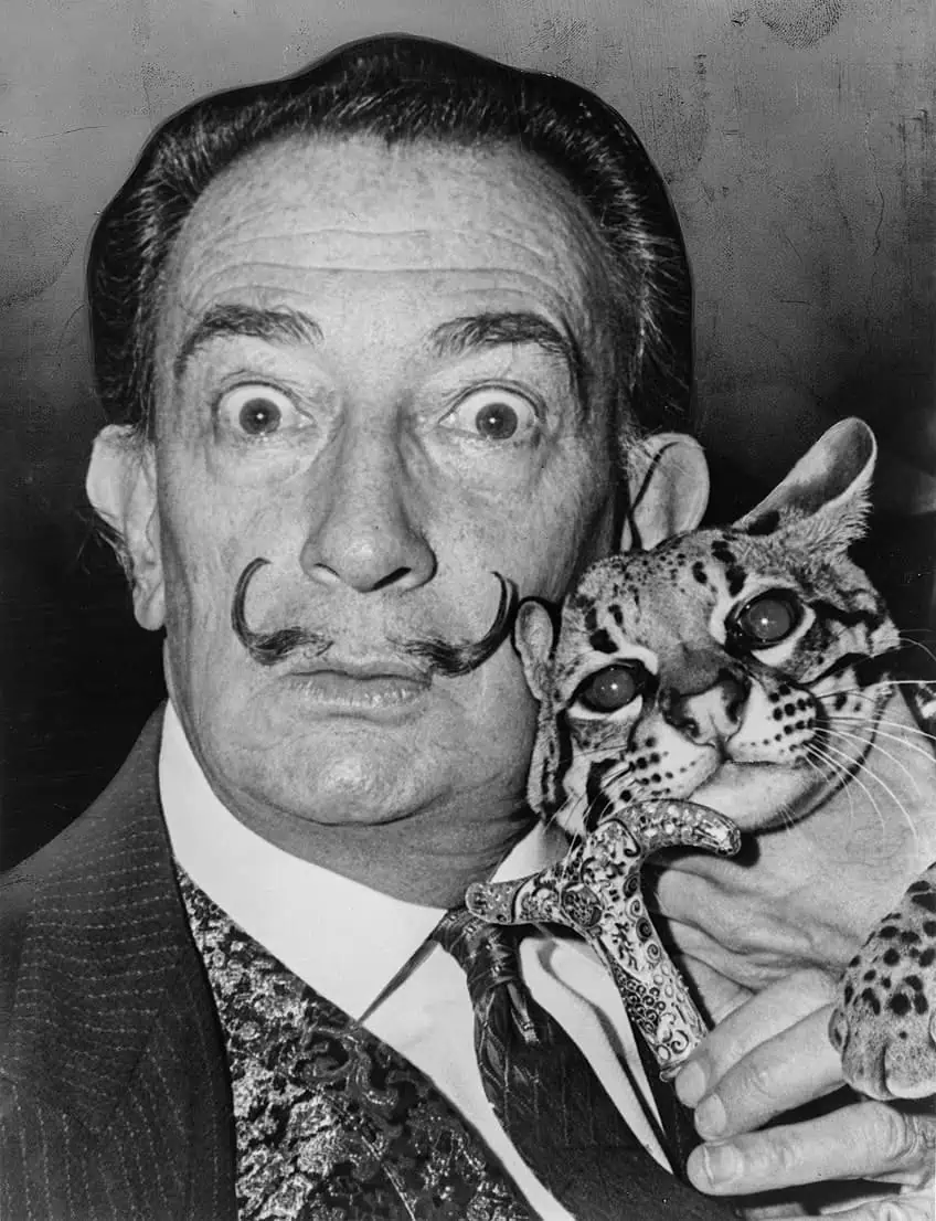Salvador Dalí Styles