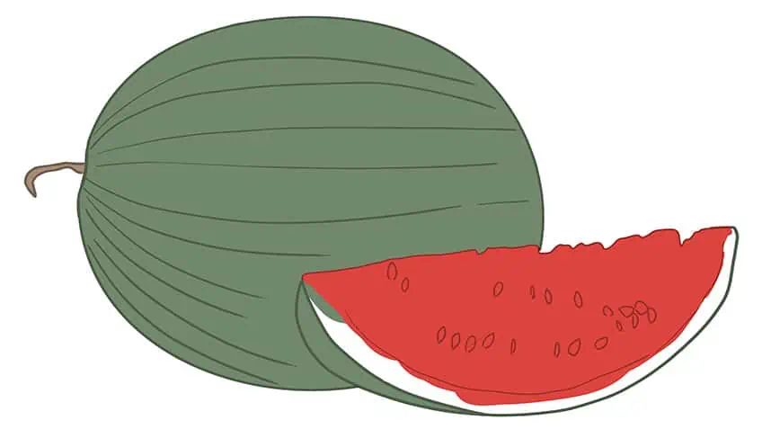 Wassermelone Zeichnung 05
