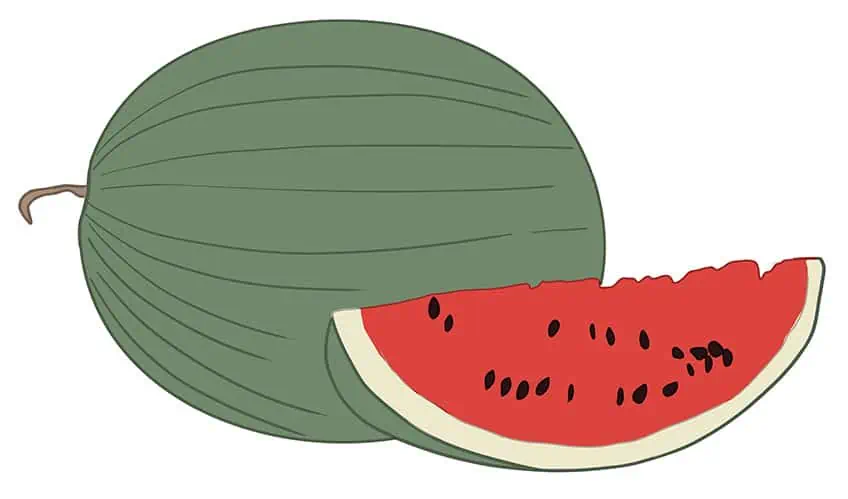 Wassermelone Zeichnung 06