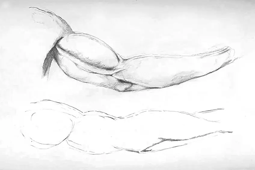 Arm Anatomie Zeichnung 12