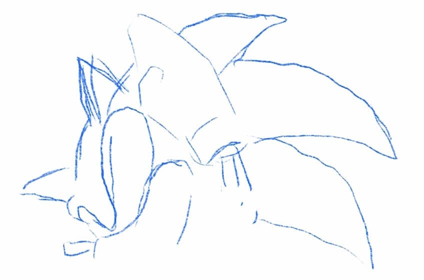 sonic drawing 02