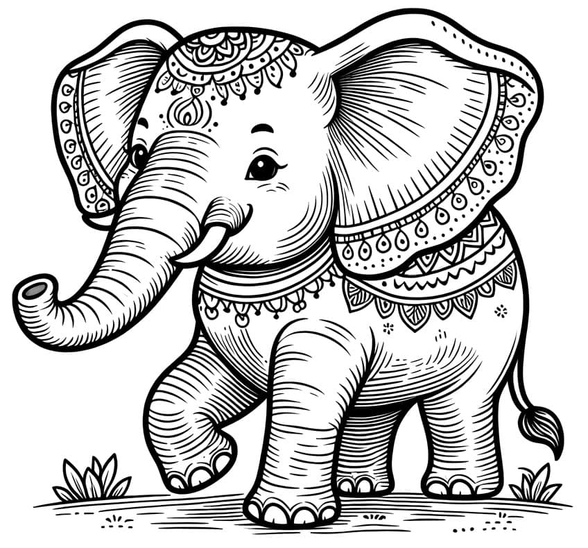 elefant ausmalbild 05