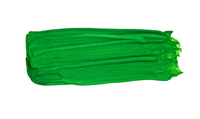 Forest Green Color Palette