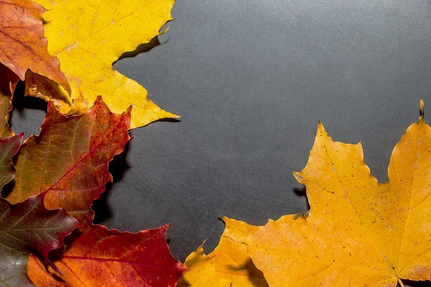 Light Graphite Color