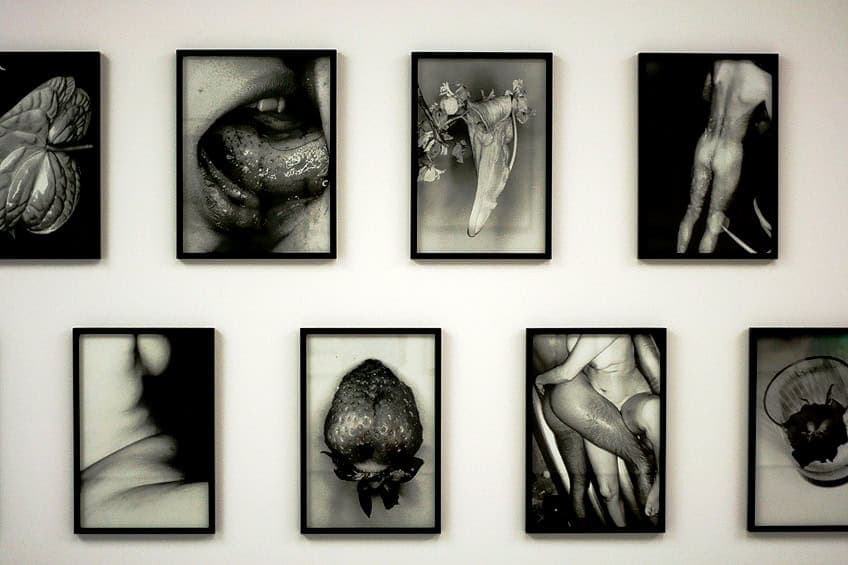 monographic work of nobuyoshi