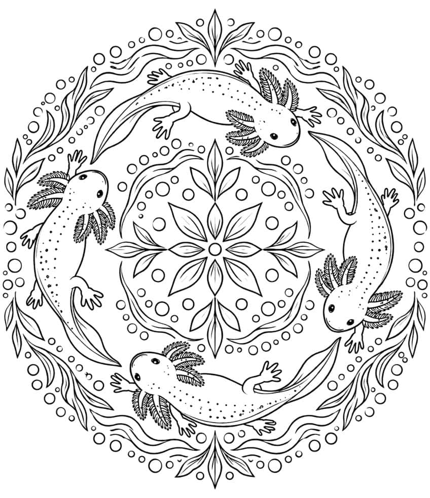 Ausmalbild Mandala mit vier kreisförmig schwimmenden Axolotln, Blättern und Luftblasen