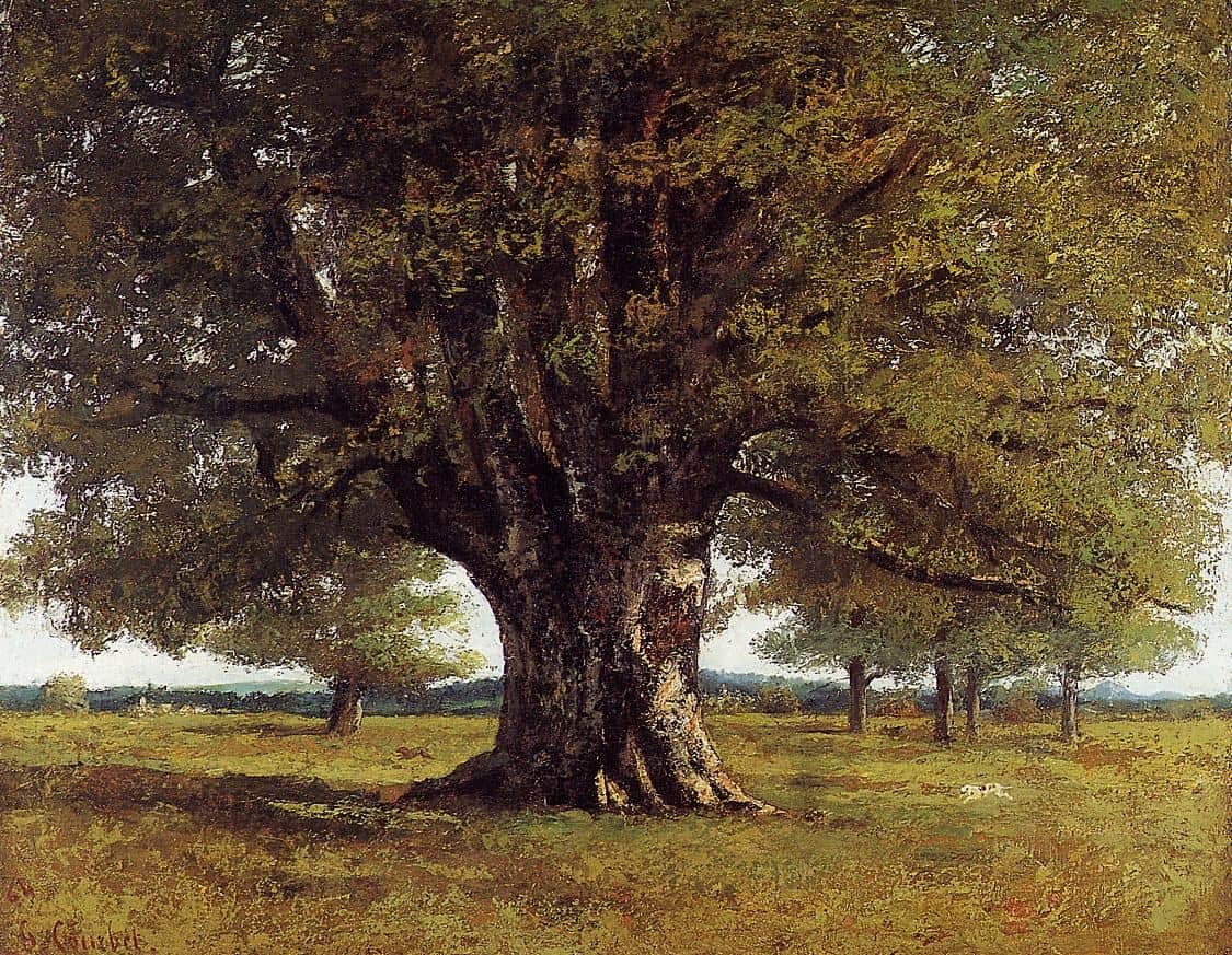 Unterstützt die genaue Betrachtung von Courbets massivem Einzelbaum, dem angeschnittenen Kronenraum und den kleinen Tiermotiven.