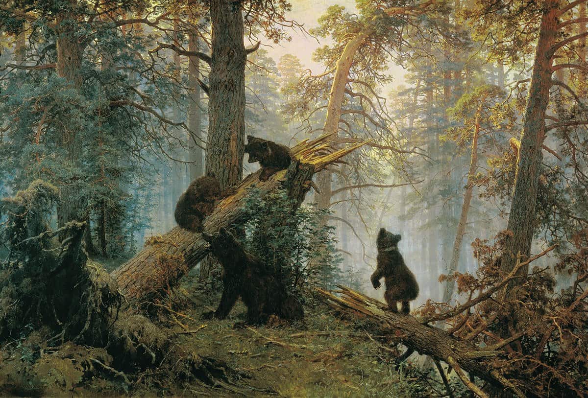 Zeigt den Kontrast zwischen präziser Kiefernlandschaft, Morgennebel und der von Sawizki beigesteuerten Bärengruppe.