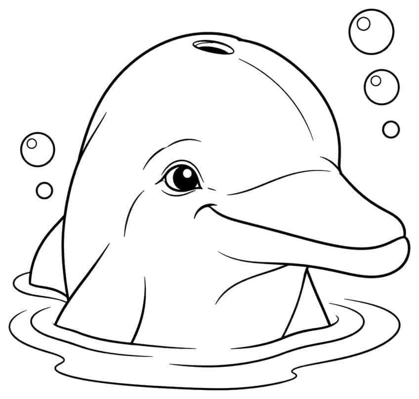 Ausmalbild: Delfinkopf ueber der Wasseroberflaeche mit Luftblasen