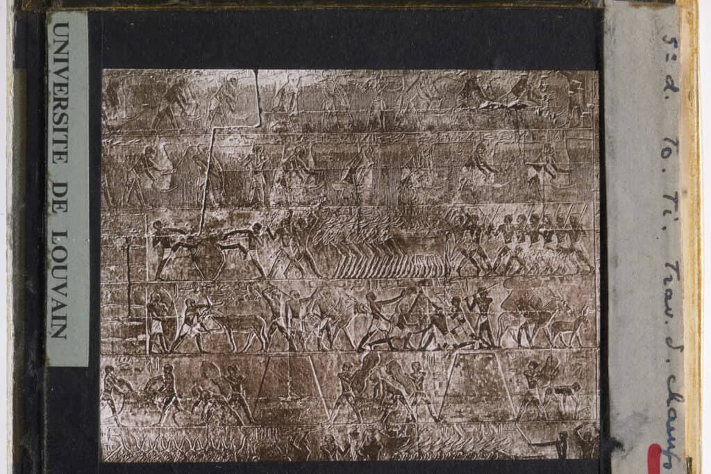 Ein bemaltes Kalksteinrelief in der Mastaba des Ti aus der 5. Dynastie zeigt Figuren und Vieh in einer landwirtschaftlichen Szene.