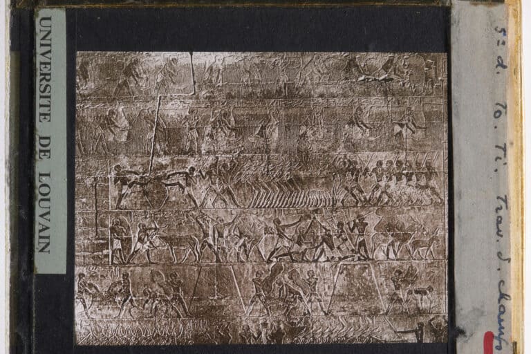 Ein bemaltes Kalksteinrelief in der Mastaba des Ti aus der 5. Dynastie zeigt Figuren und Vieh in einer landwirtschaftlichen Szene.