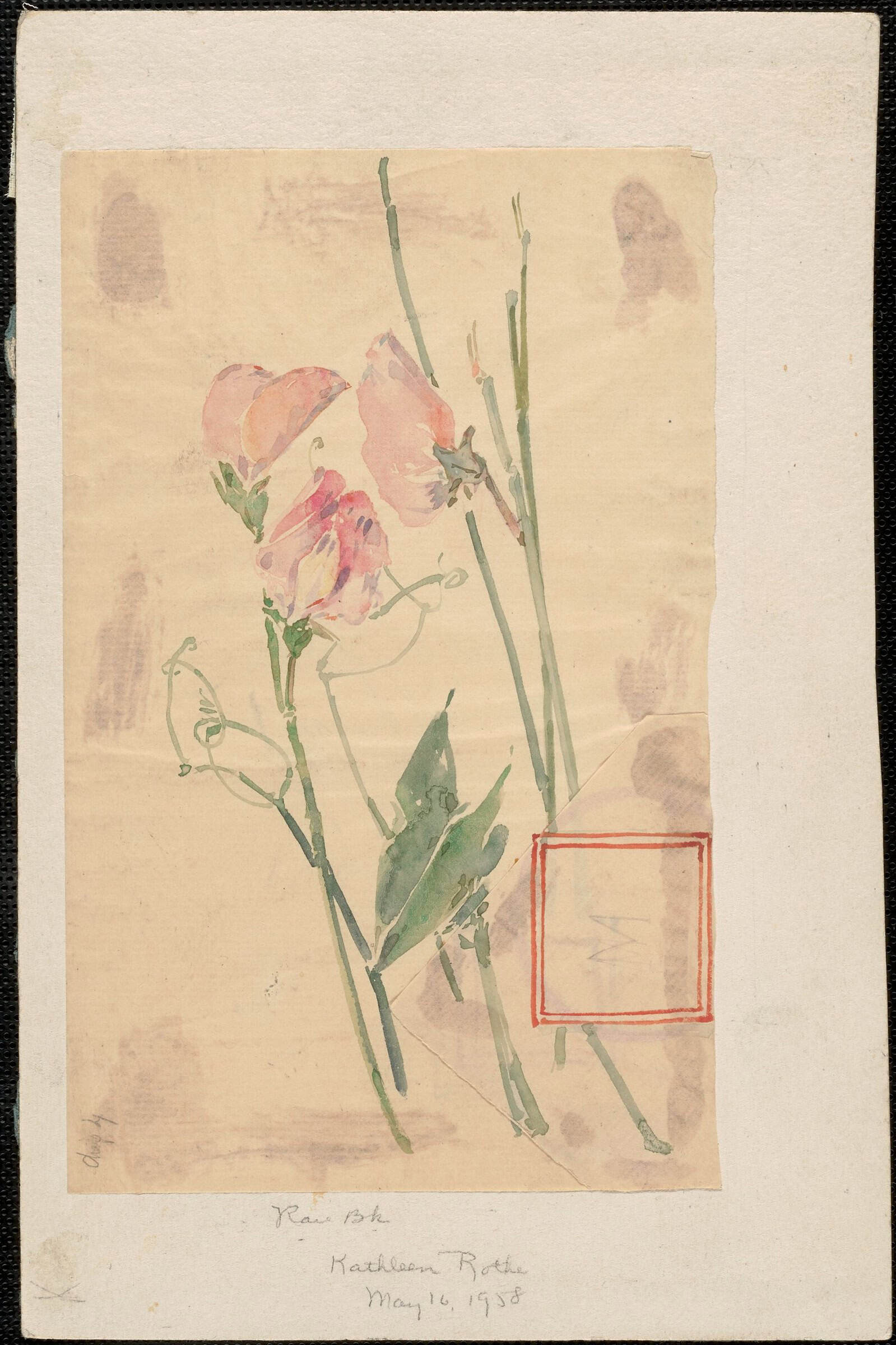 Illustration for "An Island Garden" by Celia Thaxter - DPLA - 3c891556afc2acab7b963e9afd59266d. Title from material accompanying item.; Additional information accompanying item: Ch